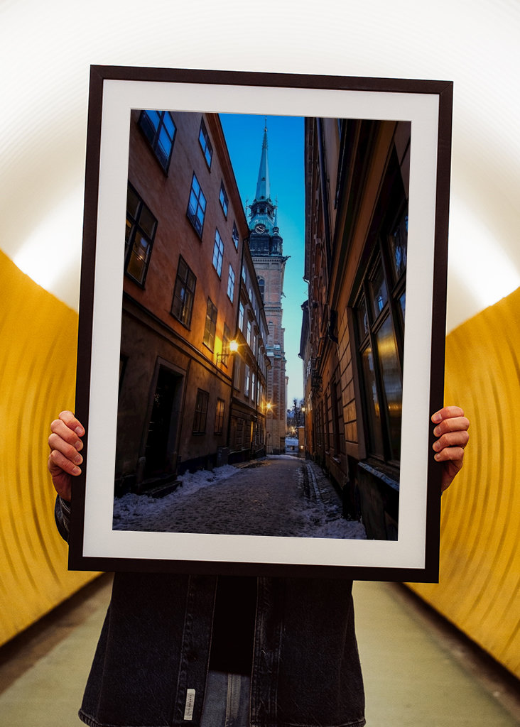 Švédska perspektíva