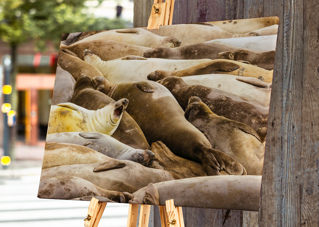 My, kteří spíme společně