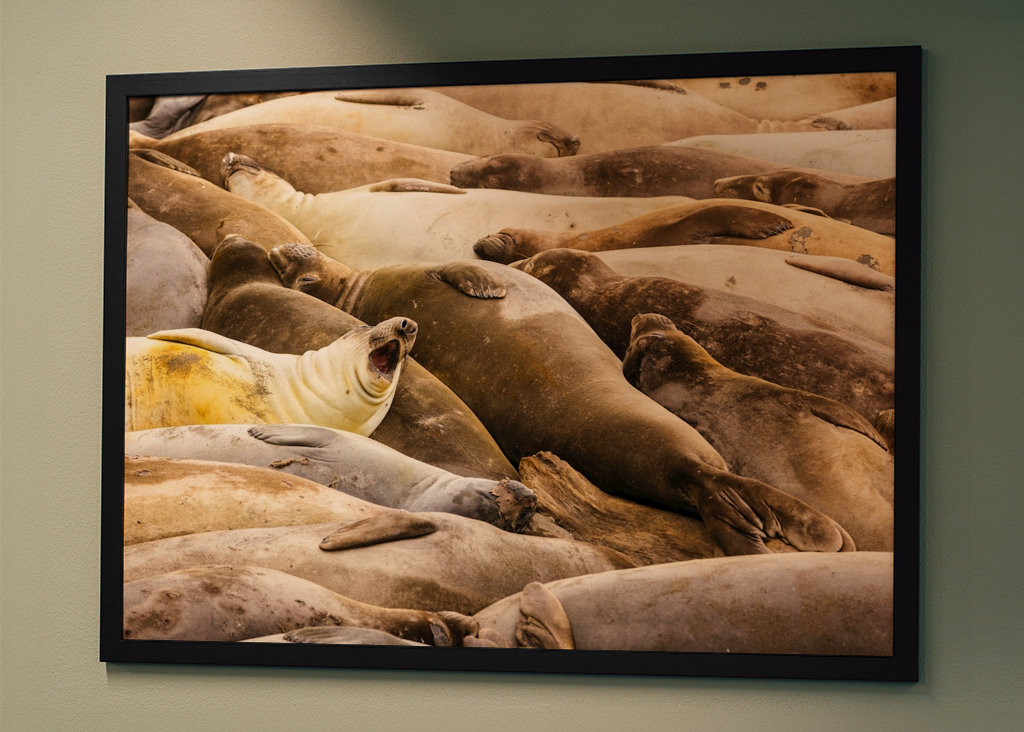 My, kteří spíme společně