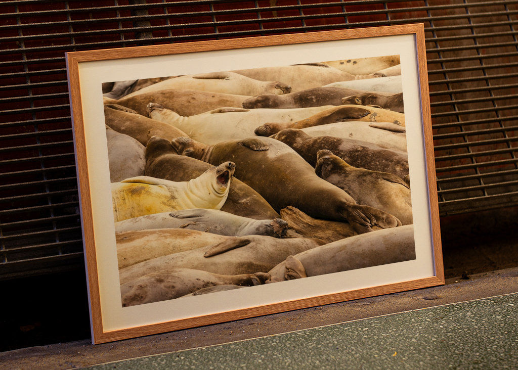 My, kteří spíme společně