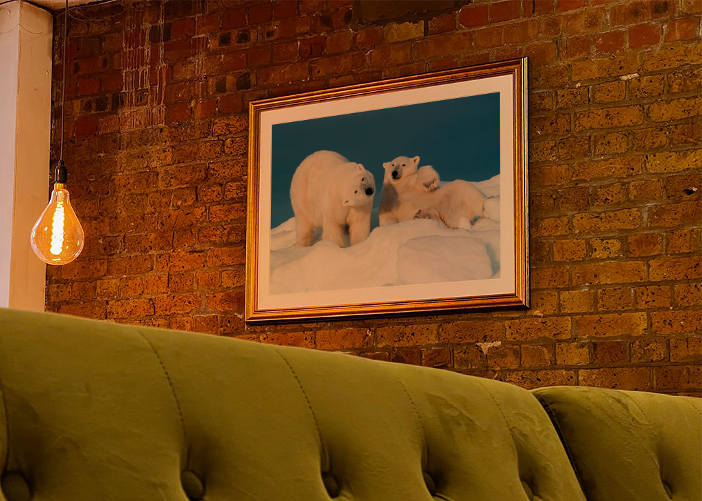 Mi sono appena svegliato