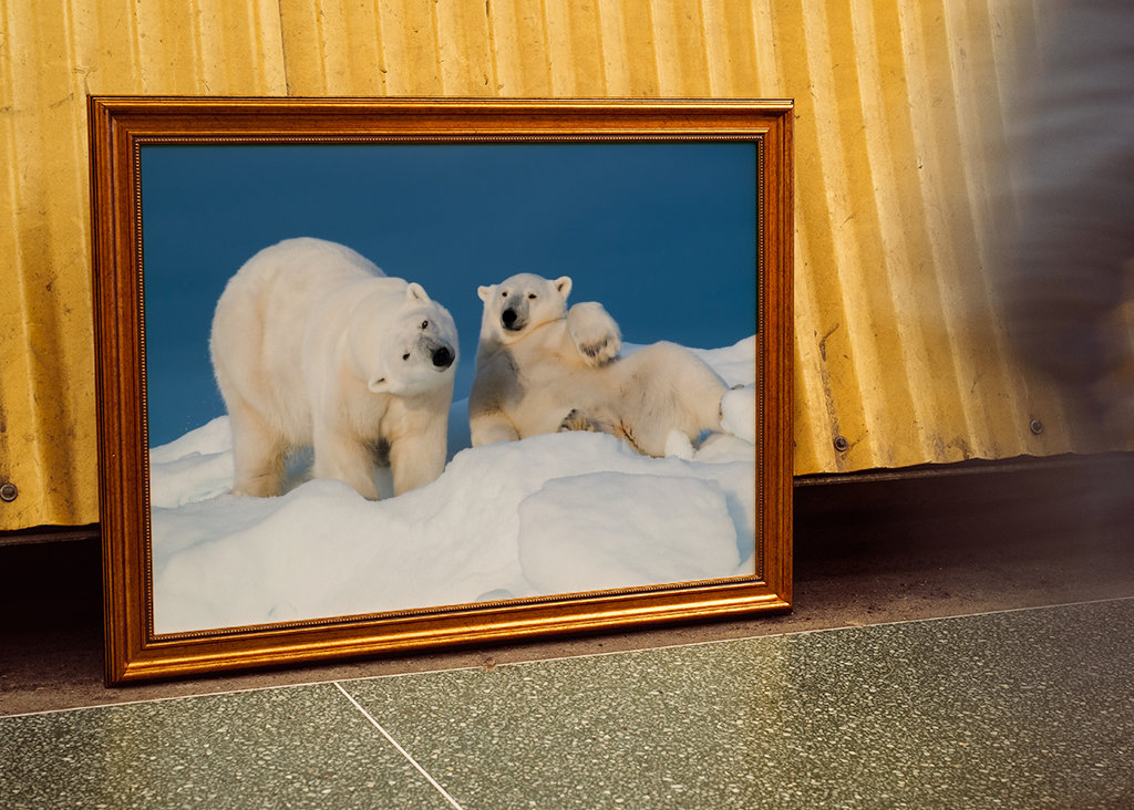 Mi sono appena svegliato