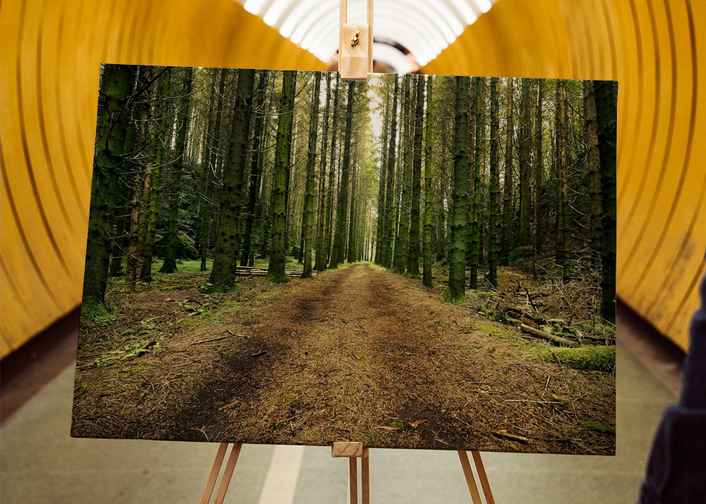 Švédská lesní cesta