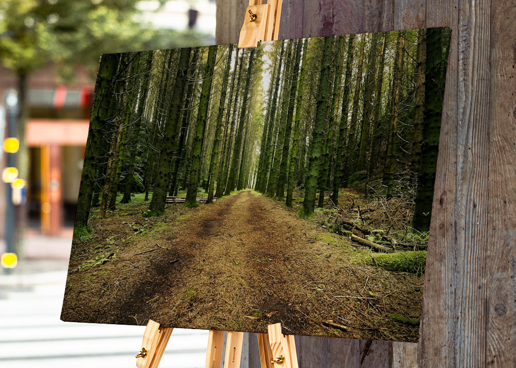 Švédská lesní cesta