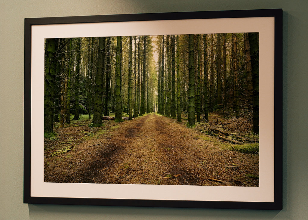 Švédská lesní cesta