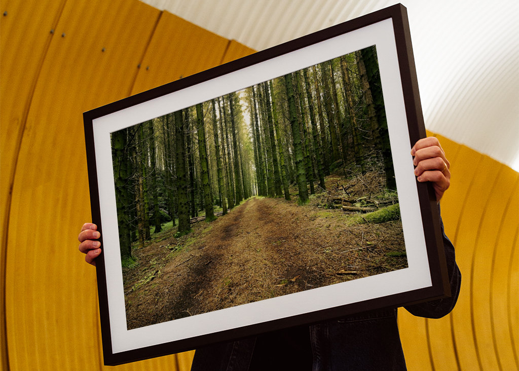 Švédská lesní cesta