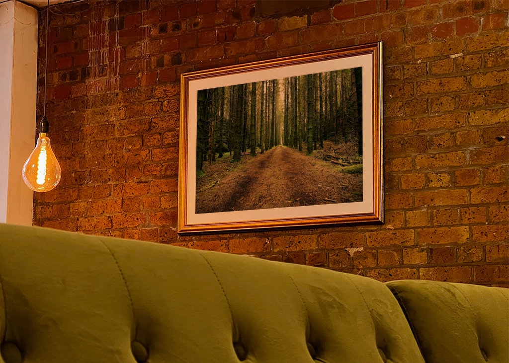 Švédská lesní cesta