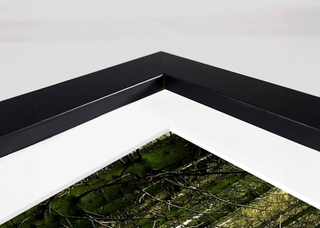 Švédská lesní cesta