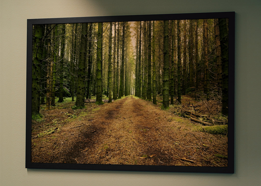 Švédská lesní cesta