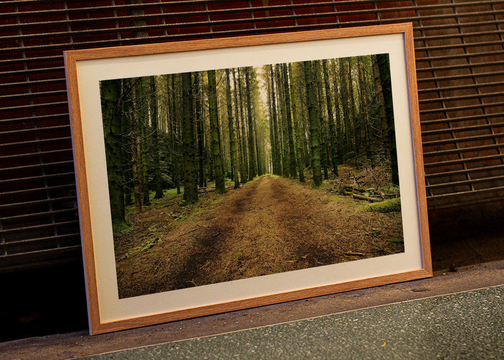 Švédská lesní cesta