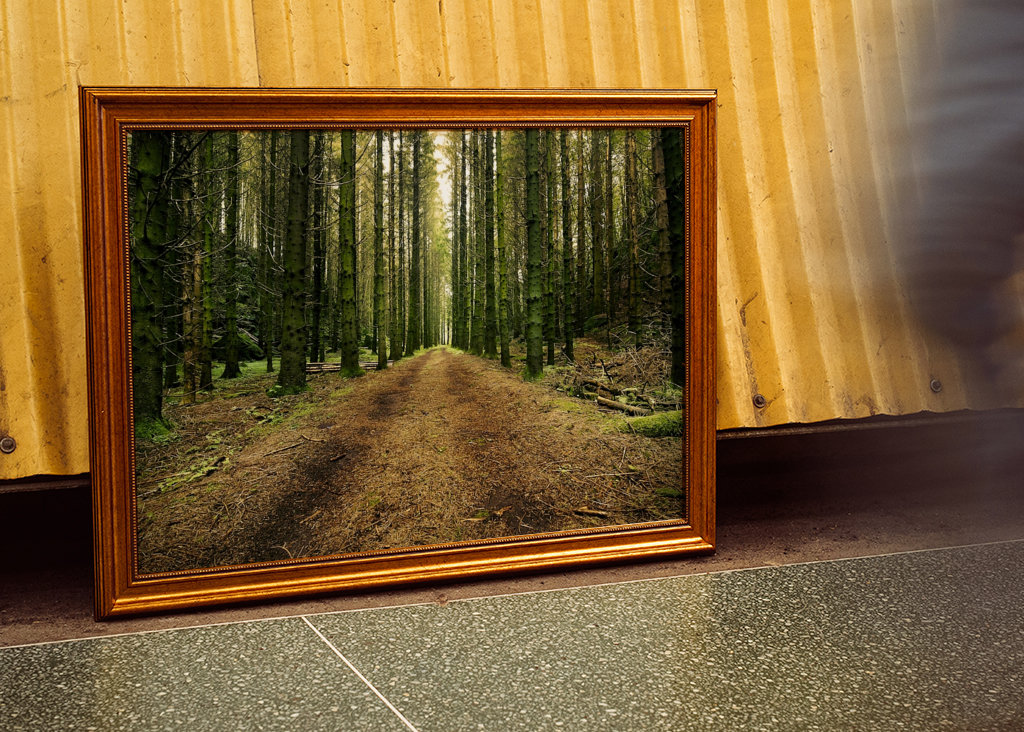 Švédská lesní cesta