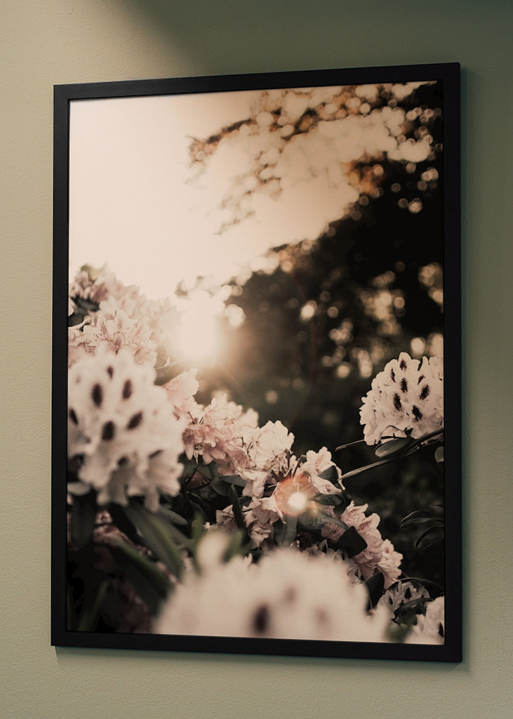 Puesta de sol en Humlegården