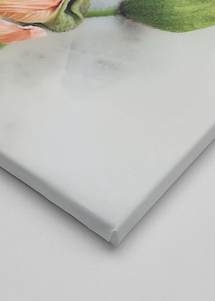 Mohnblume auf Marmor