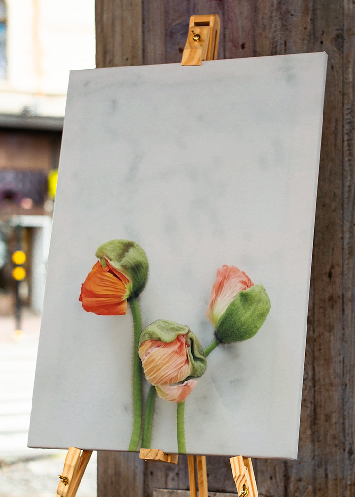 Mohnblume auf Marmor