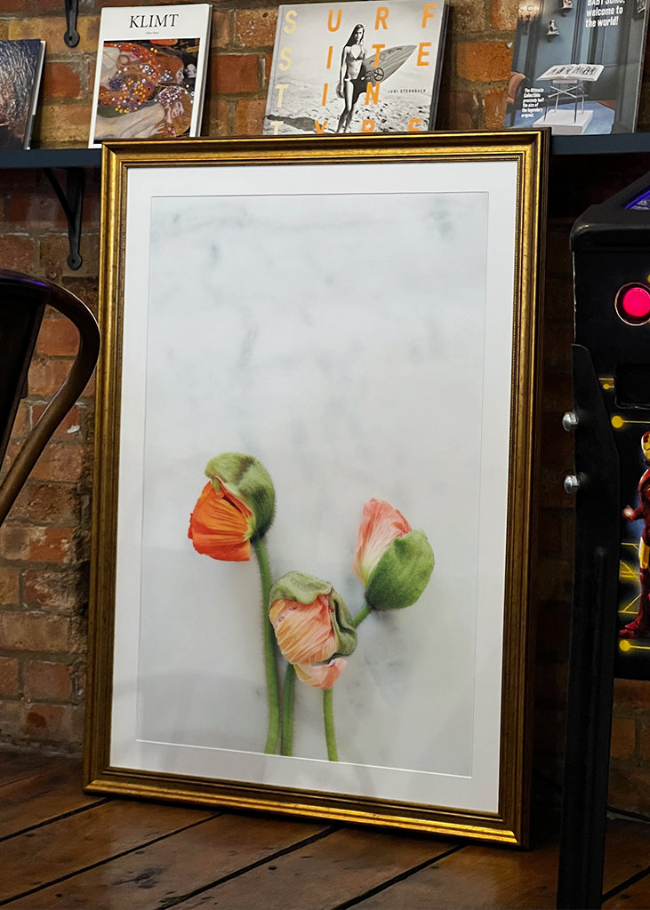 Mohnblume auf Marmor