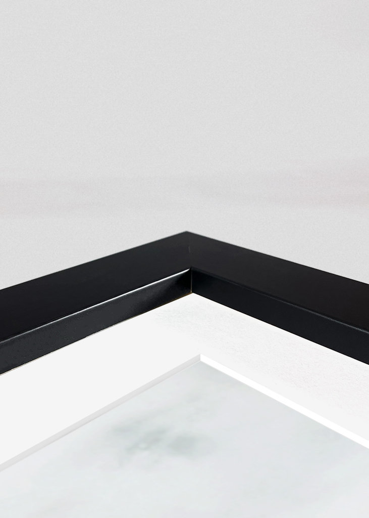 Mohnblume auf Marmor