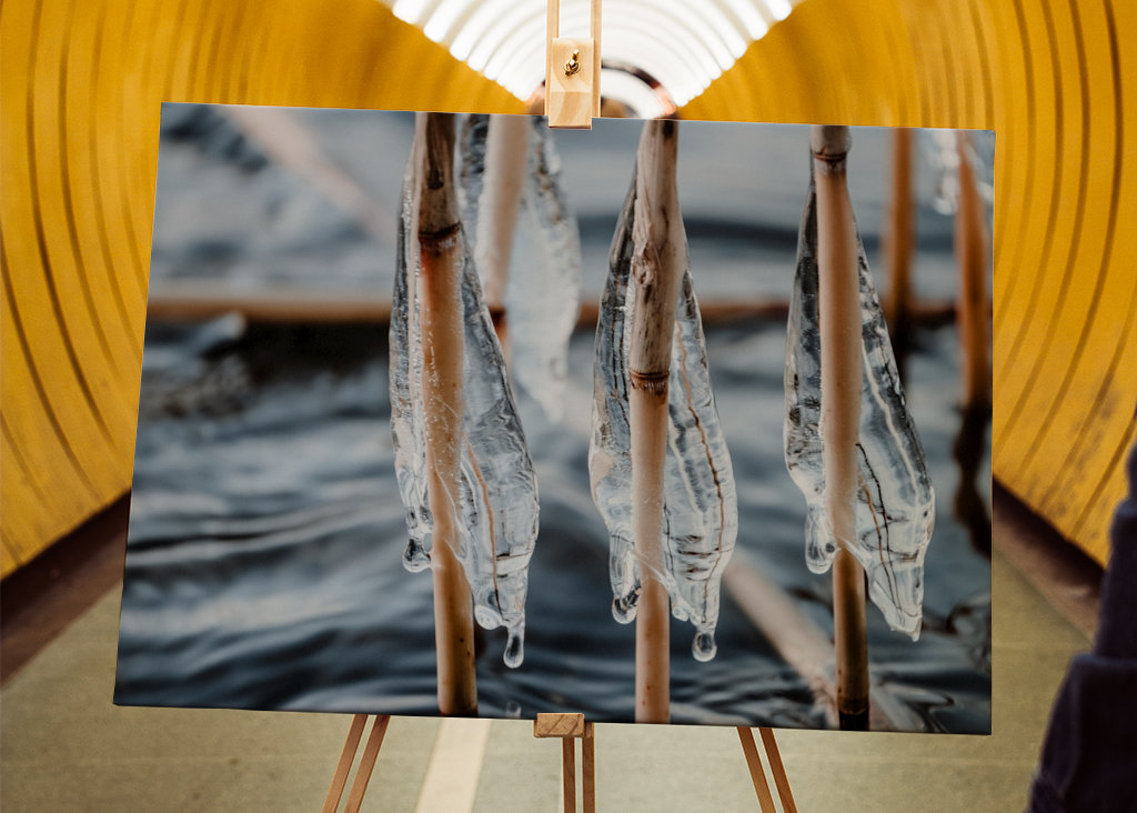 S’accrocher à la tempête