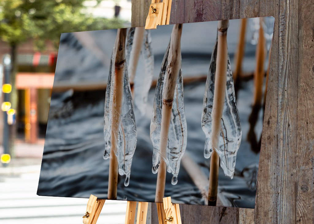 S’accrocher à la tempête