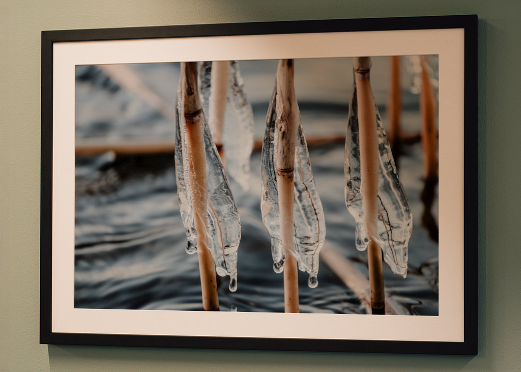 S’accrocher à la tempête