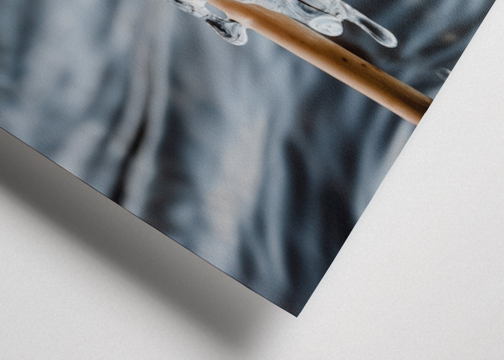 S’accrocher à la tempête