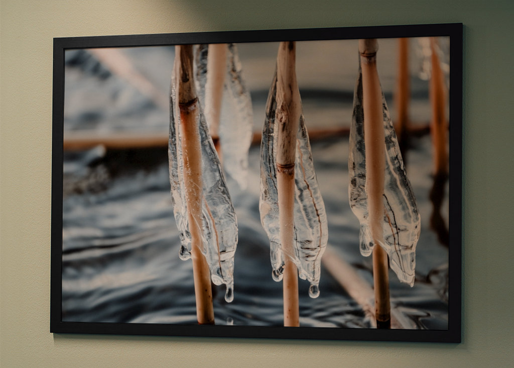S’accrocher à la tempête