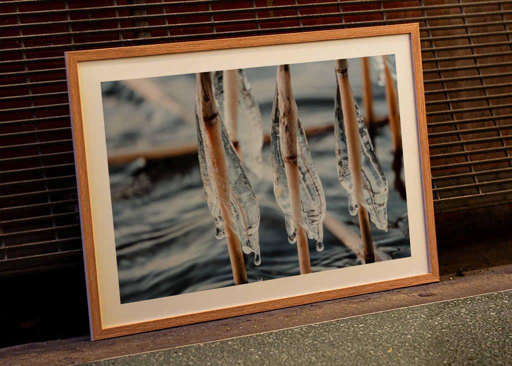 S’accrocher à la tempête