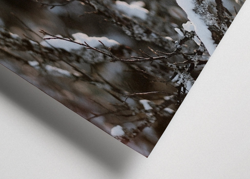 Quand le soleil printanier revient