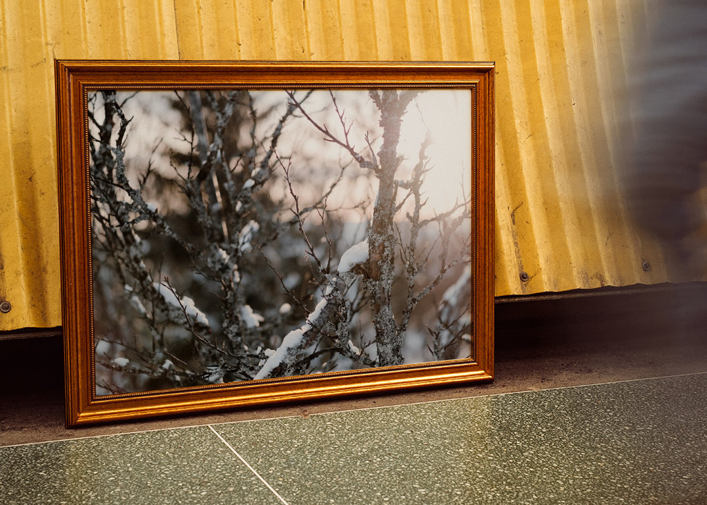 Quand le soleil printanier revient