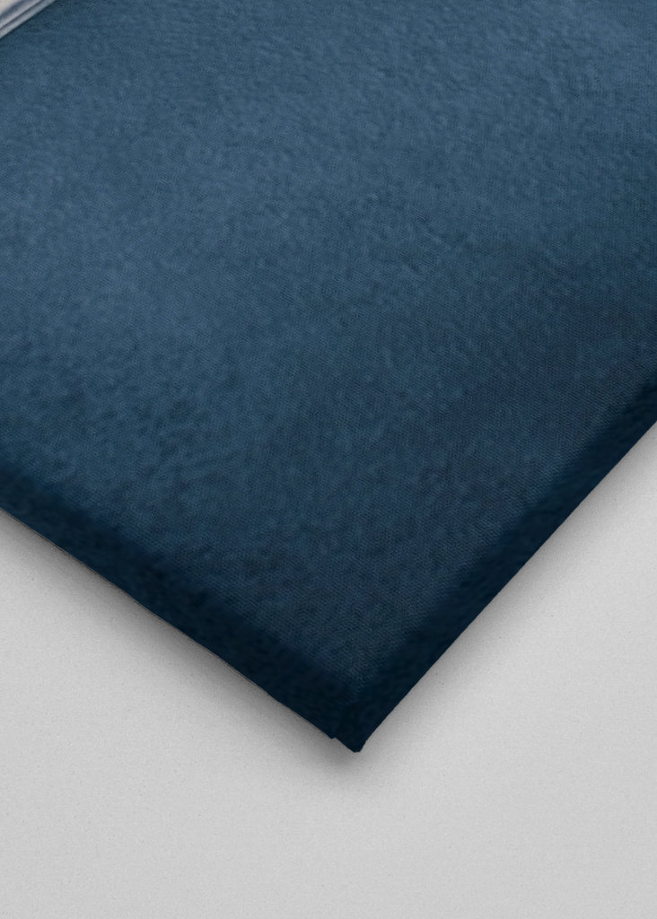 A spoonful of blueberries