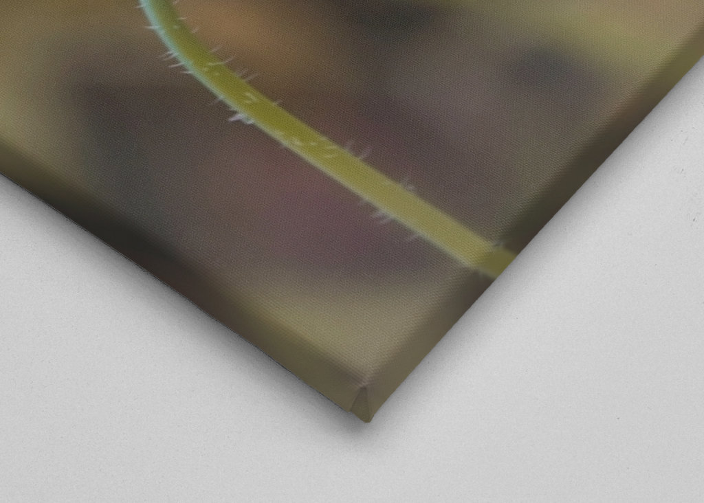 Hermosa flor solitaria