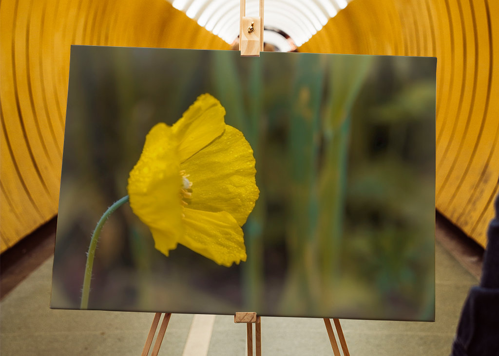 Hermosa flor solitaria