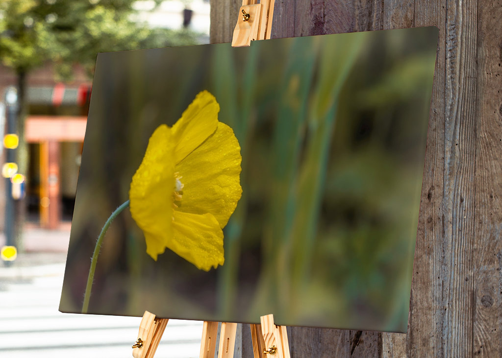 Hermosa flor solitaria