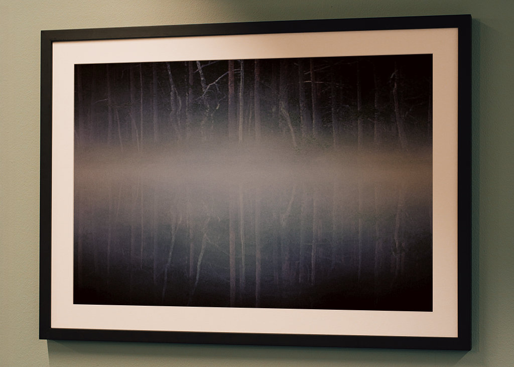 La ciénaga con niebla