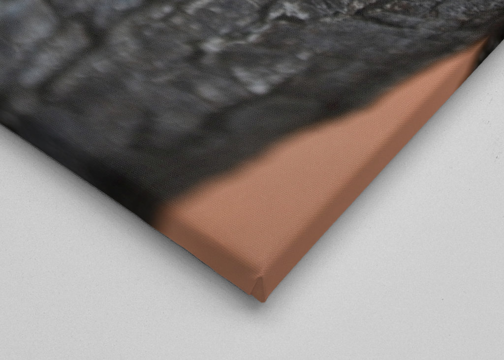 Voyage d’une chenille