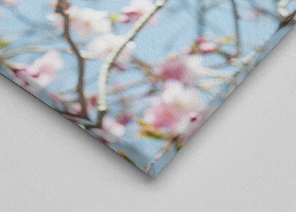 Japanskt körsbärsträd