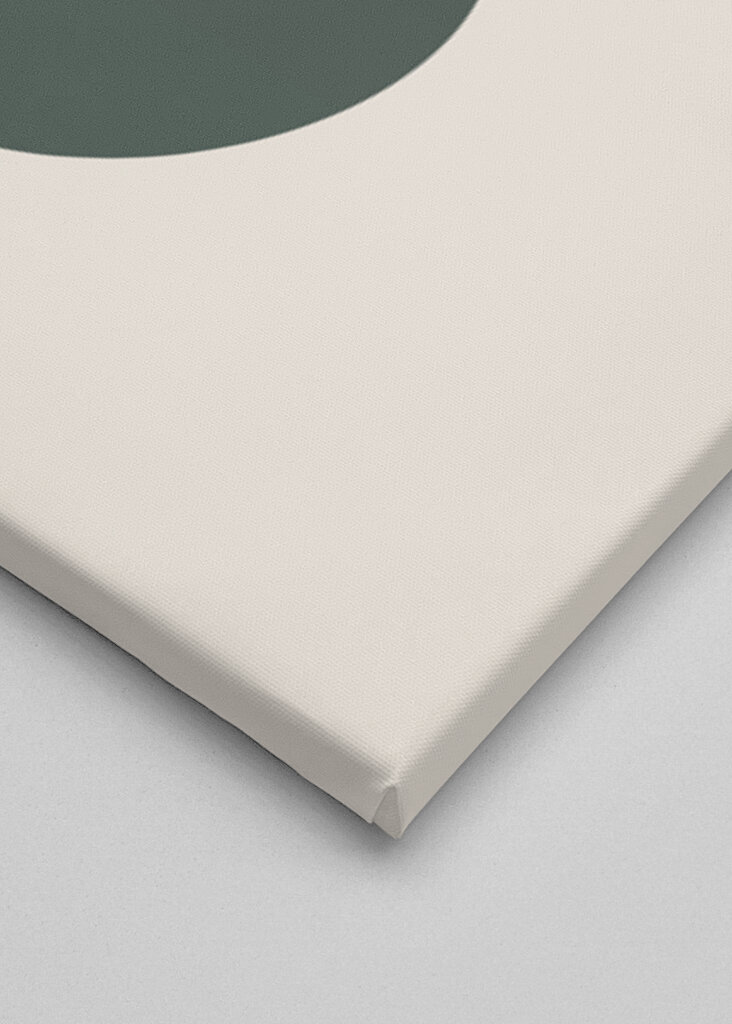 Geometrická harmonie