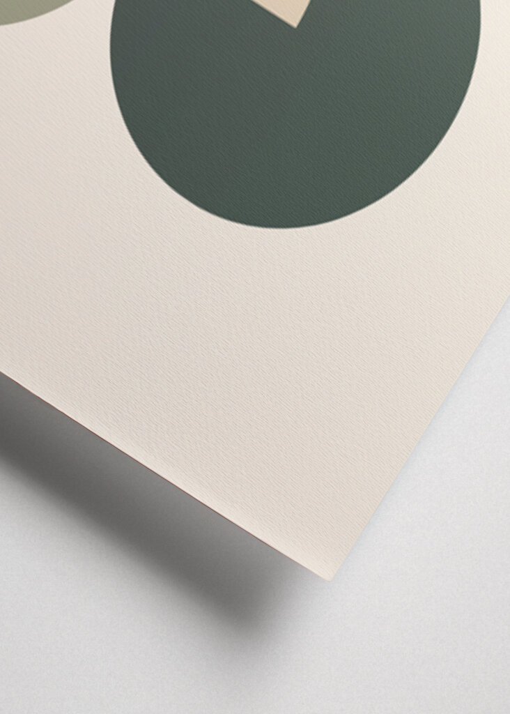 Geometrická harmonie