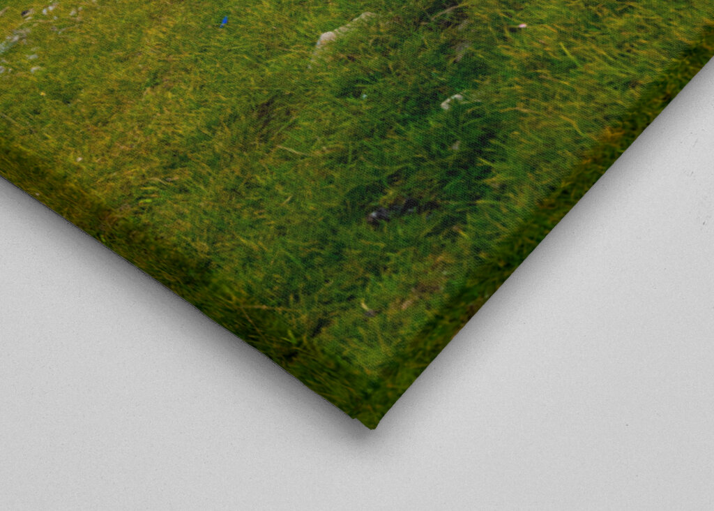 Gångstig på Öland