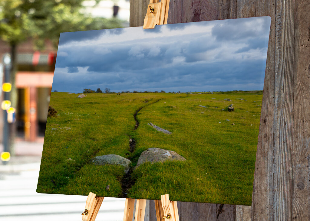 Gångstig på Öland