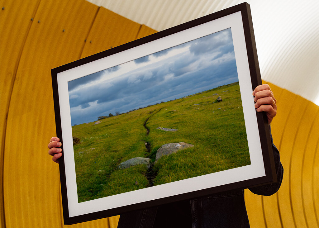 Gångstig på Öland