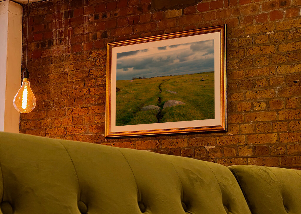 Gångstig på Öland