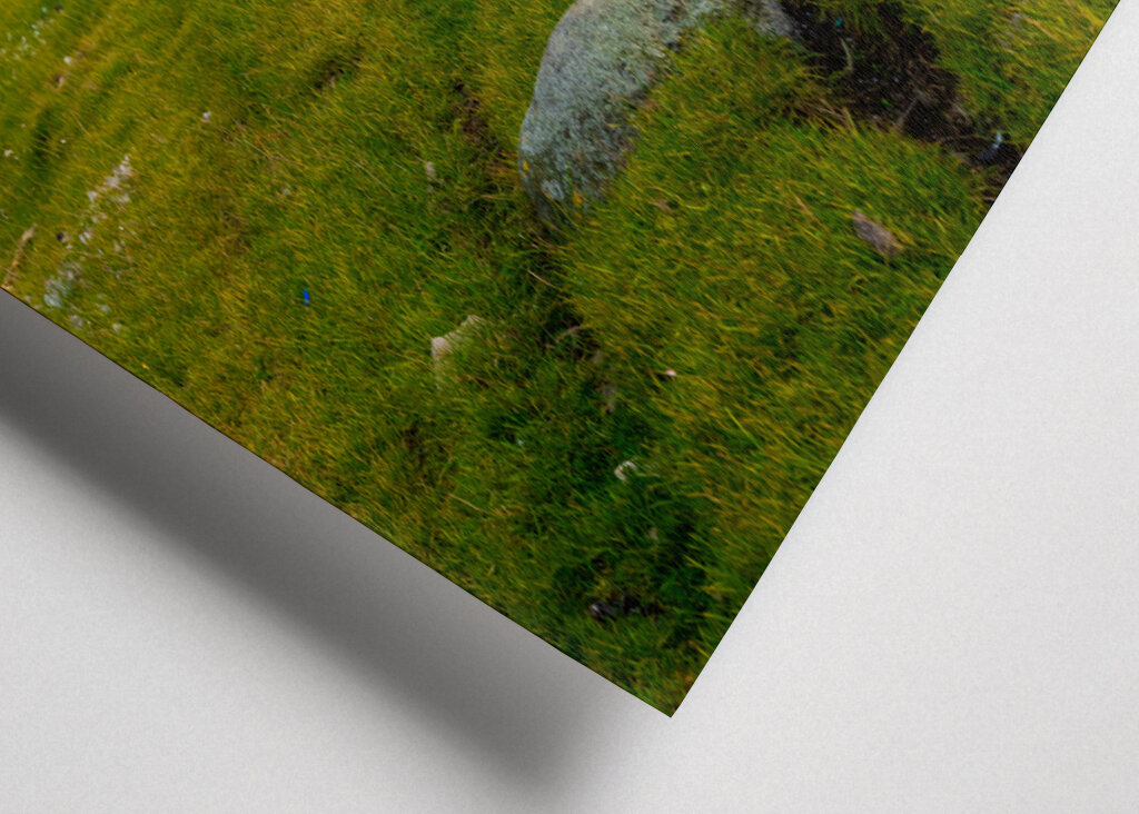 Gångstig på Öland