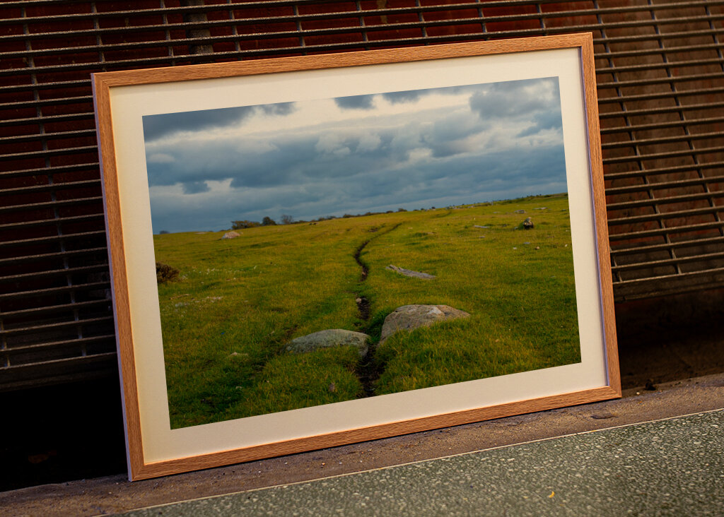 Gångstig på Öland