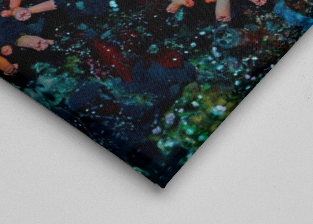 Patrick Star nella vita reale