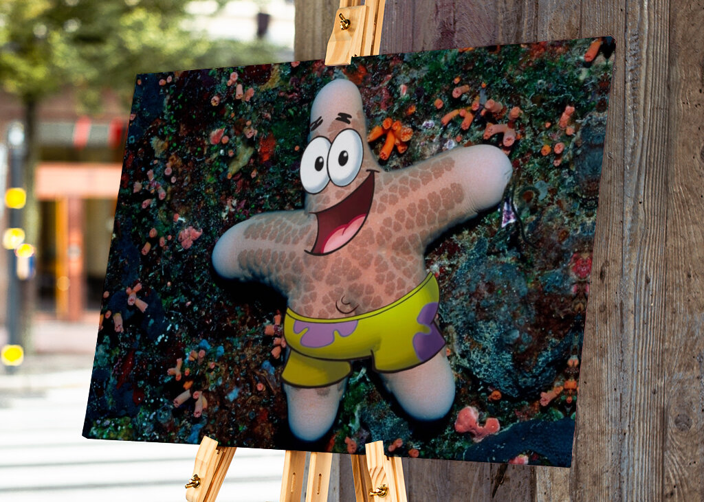 Patrick Star nella vita reale