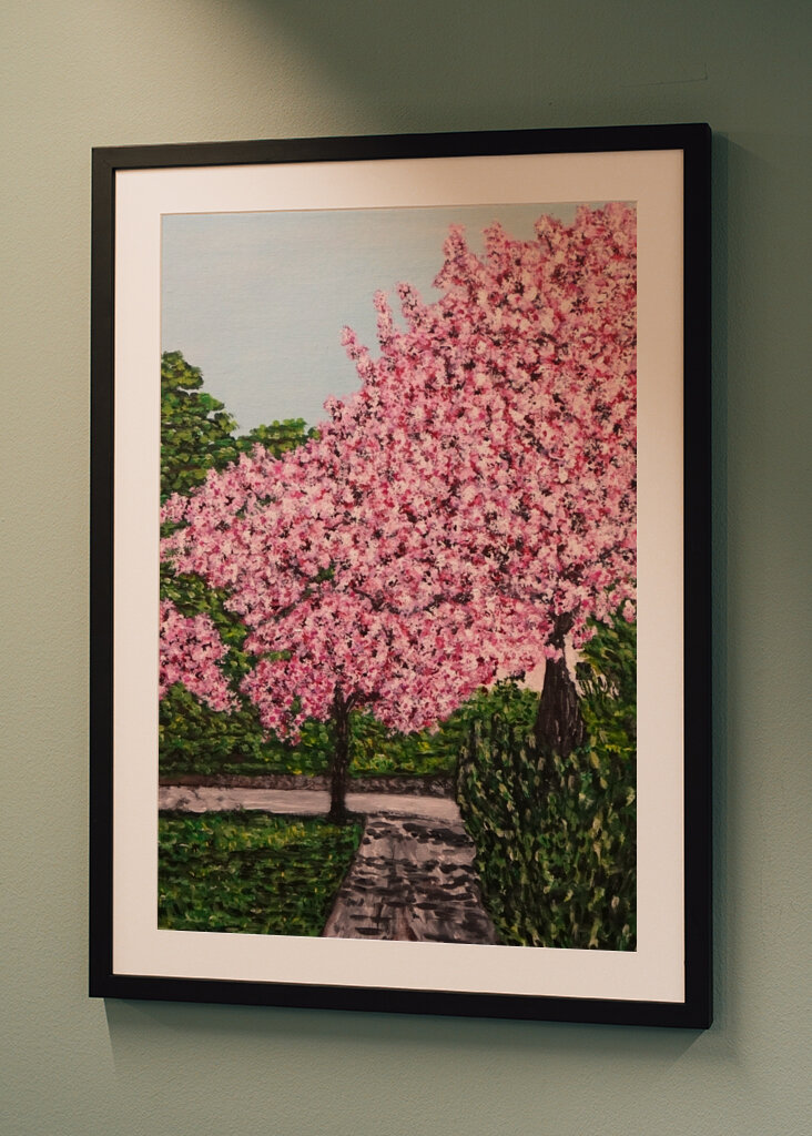 Belle saison des cerisiers en fleurs