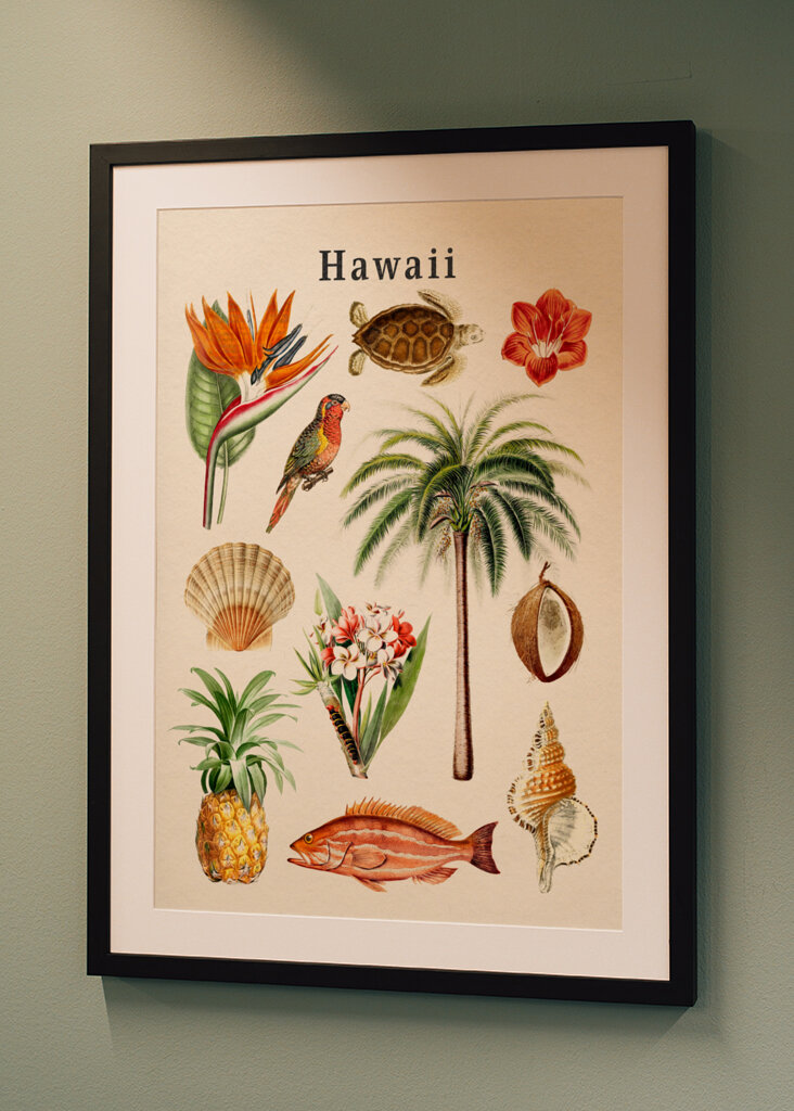 Hawaii Collectie