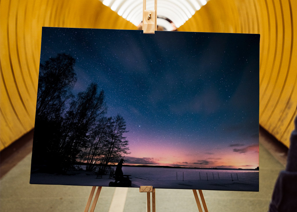 Stjärnor över vintersjön