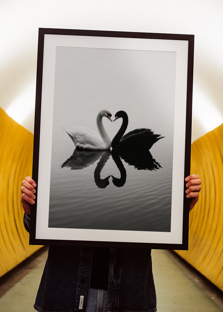 Verliebtes Gänsepaar