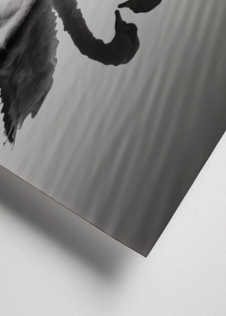 Verliebtes Gänsepaar